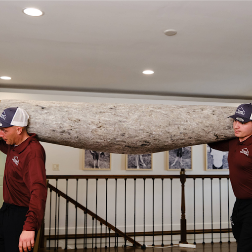 Featured image for Auto-prepared featured image