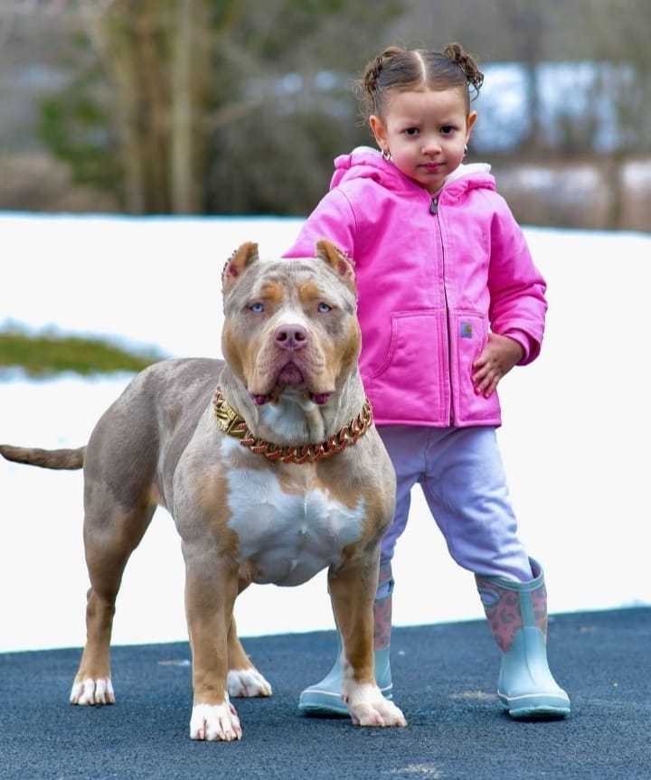 Featured image for Auto-prepared featured image